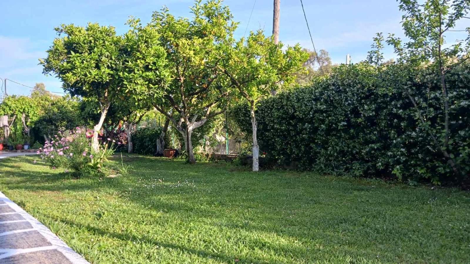 Villa Ioannidis Parga Exterior foto